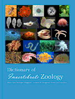 Online Dictionary of Invertebrate Zoology: Complete Work icon