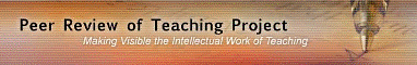 Peer Review of Teaching Project