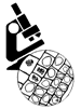 Papers in Cell & Molecular Biology