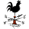 Cooperative Extension Publications