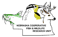 Nebraska Cooperative Fish and Wildlife Research Unit: Annual Reports