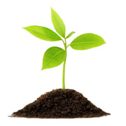 Plant and Soil Sciences eLibrary