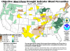 Drought Mitigation Center: Faculty Publications