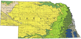 United States Geological Survey: Staff Publications