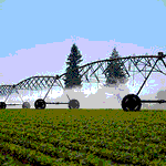 Water and Integrated Cropping Systems