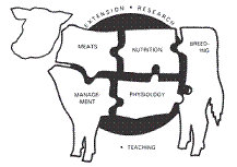 Nebraska Beef Cattle Reports