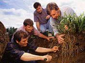 United States Department of Agriculture-Agricultural Research Service / University of Nebraska-Lincoln: Faculty Publications