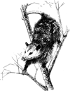 Proceedings of the Sixteenth Vertebrate Pest Conference (1994)