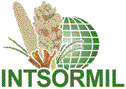 International Sorghum and Millet Collaborative Research Support Program (INTSORMIL CRSP)