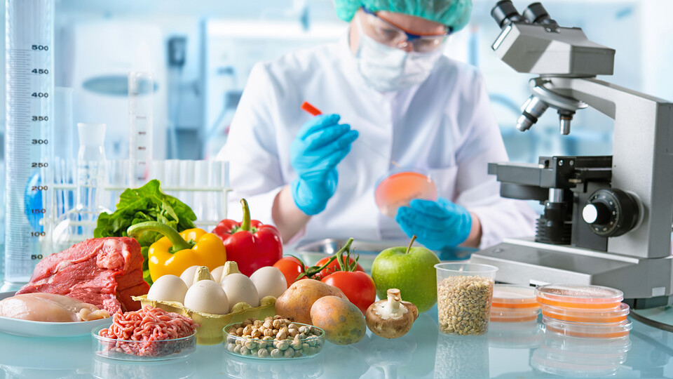Department of Food Science and Technology: Faculty Publications