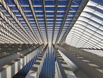 Coordinated Linear Algebra by Anna Davis, Paul Zachlin, Allan P. Donsig, Levi Heath, and Mikkel Munkholm