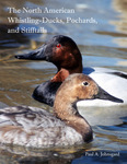 The North American Whistling-Ducks, Pochards, and Stifftails by Paul A. Johnsgard